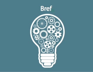 Logo Blog Bref